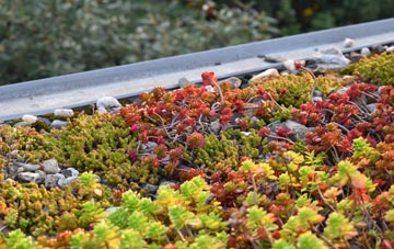 the cost of Heamoor green roof installation